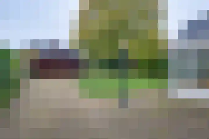 Zutphenseweg 11 Laren thumbnail 20
