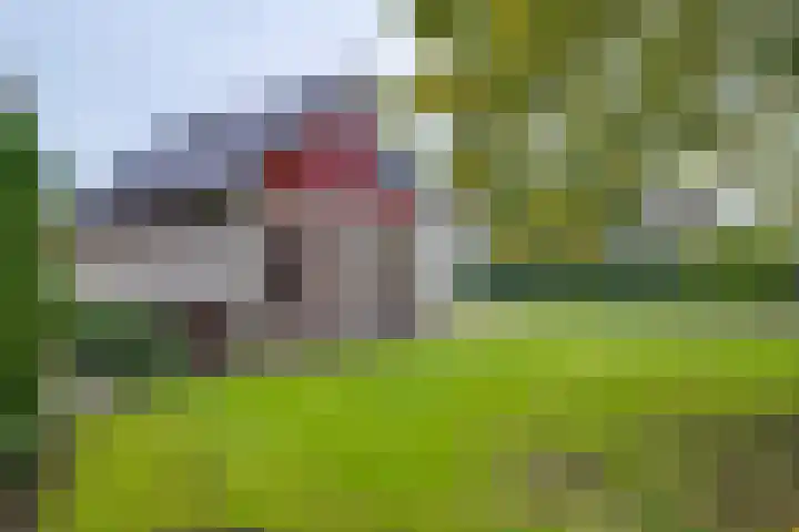 Zutphenseweg 11 Laren thumbnail 21