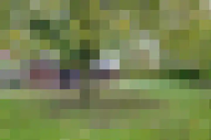 Zutphenseweg 11 Laren thumbnail 22