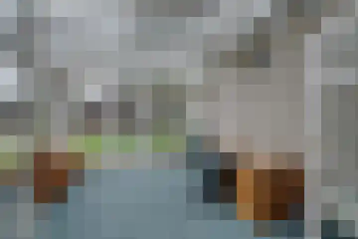 Zutphenseweg 11 Laren thumbnail 7