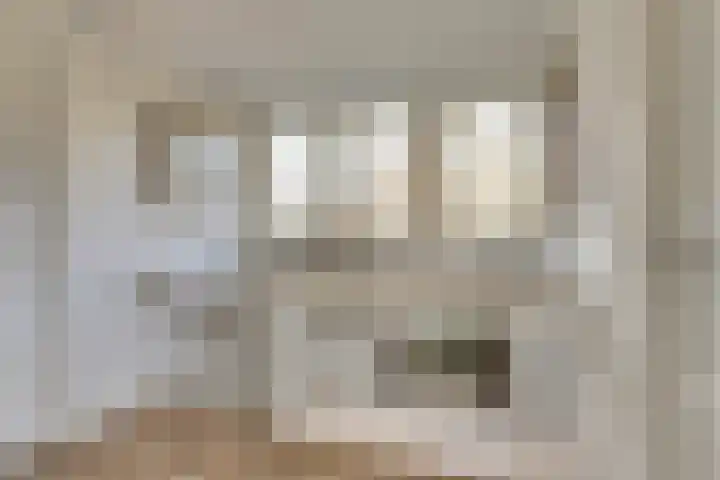 Zutphenseweg 112 Eefde thumbnail 12