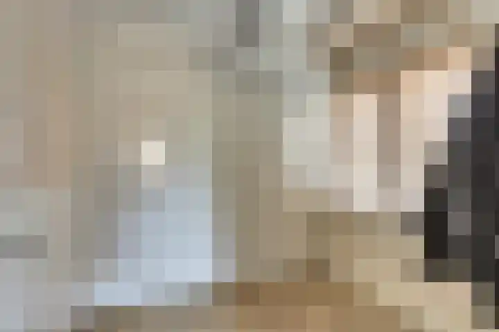 Zutphenseweg 112 Eefde thumbnail 14