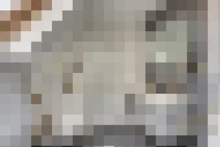 Zutphenseweg 112 Eefde thumbnail 17