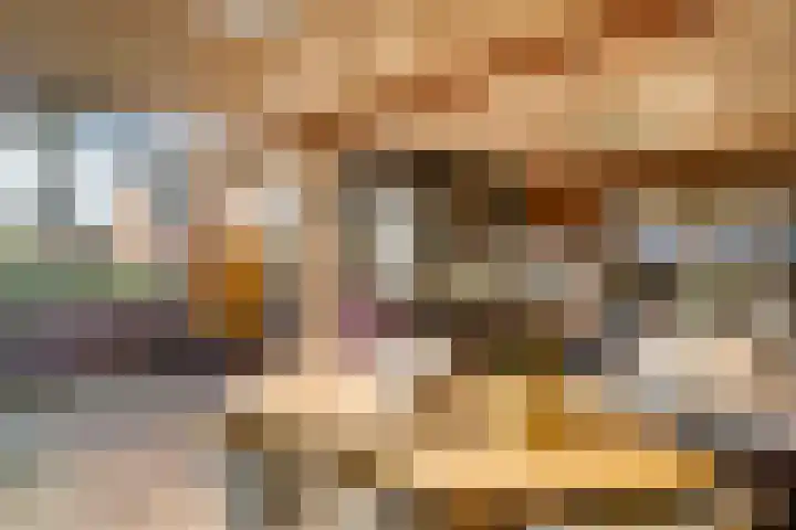 Zutphenseweg 112 Eefde thumbnail 20