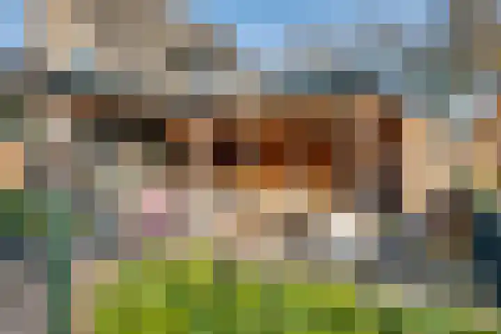 Zutphenseweg 112 Eefde thumbnail 23
