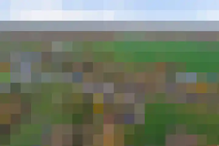 Zutphenseweg 112 Eefde thumbnail 25