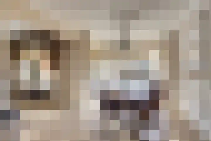 Zutphenseweg 112 Eefde thumbnail 5