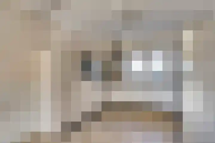 Zutphenseweg 112 Eefde thumbnail 7