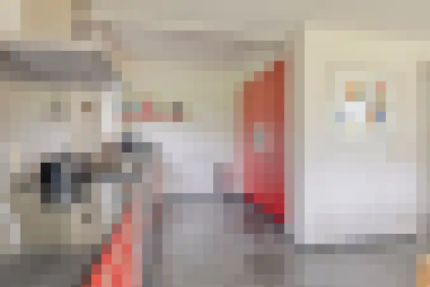 Zutphenseweg 114 Eefde thumbnail 12