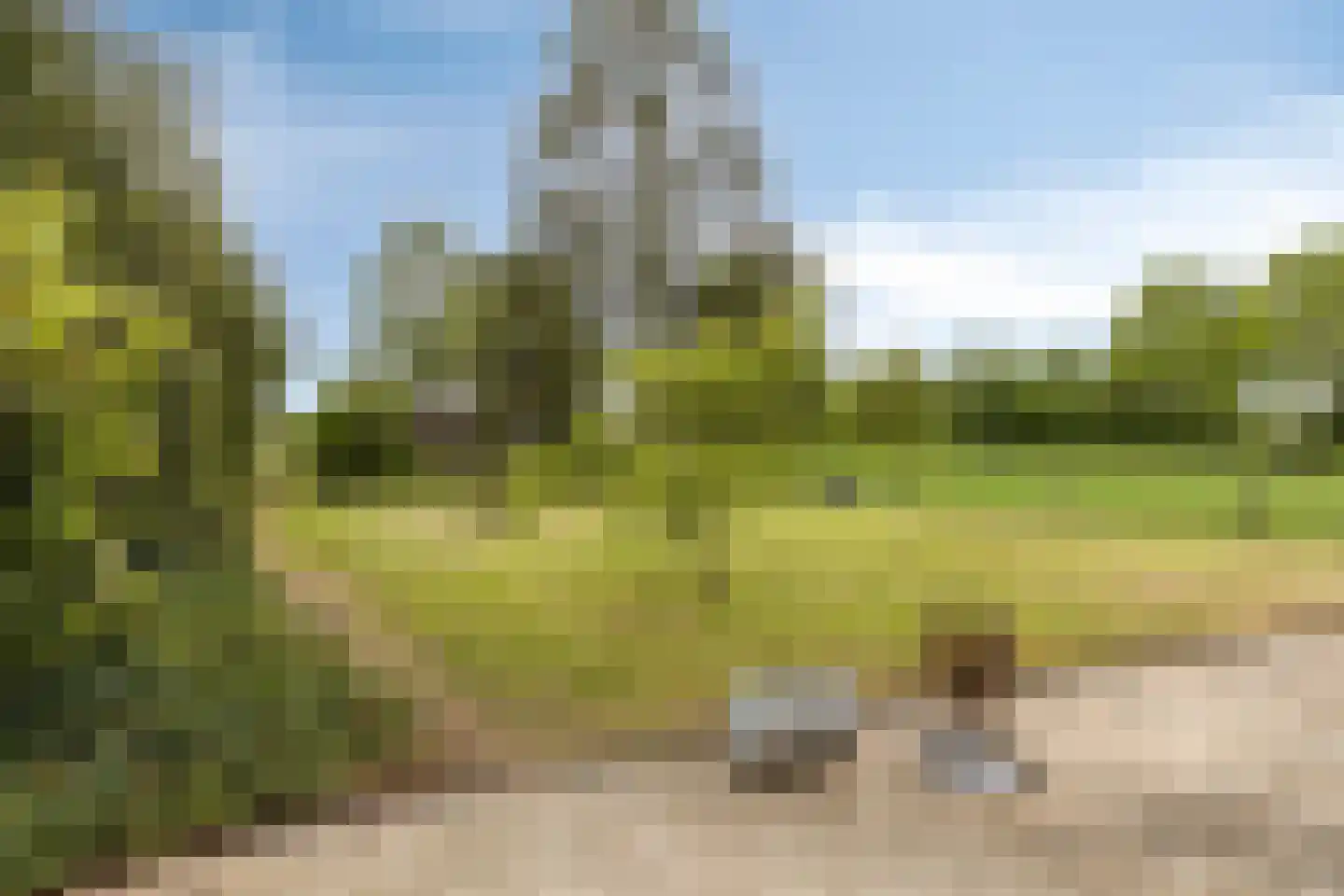 Zutphenseweg 114 Eefde thumbnail 30
