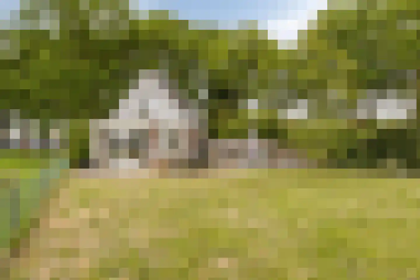 Zutphenseweg 114 Eefde thumbnail 31