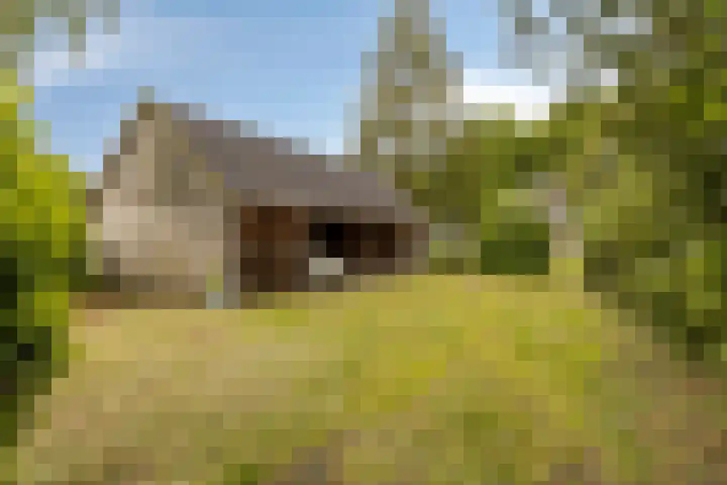 Zutphenseweg 114 Eefde thumbnail 33