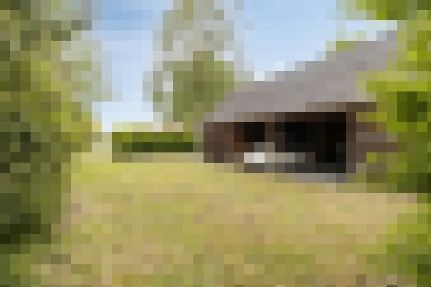 Zutphenseweg 114 Eefde thumbnail 35