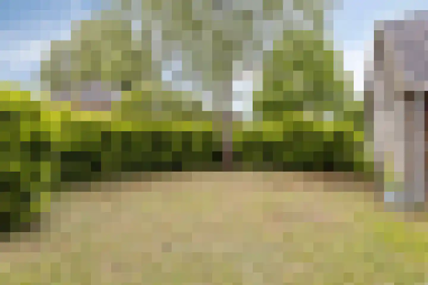 Zutphenseweg 114 Eefde thumbnail 37