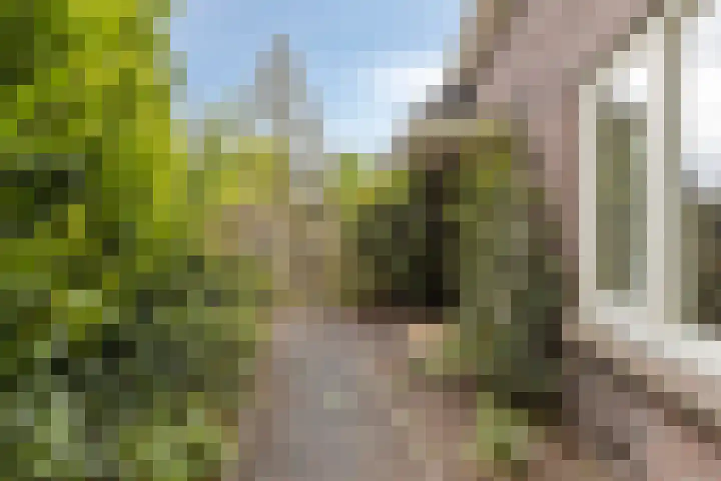 Zutphenseweg 114 Eefde thumbnail 38