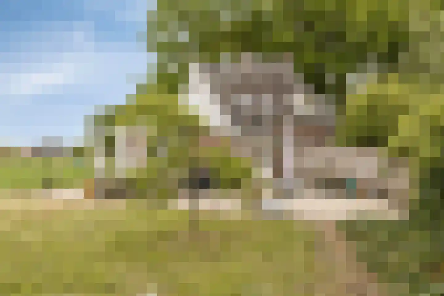 Zutphenseweg 114 Eefde thumbnail 39