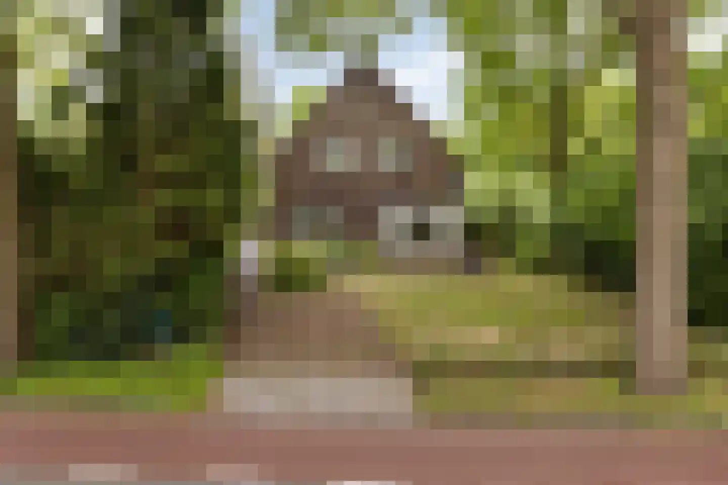 Zutphenseweg 114 Eefde thumbnail 4