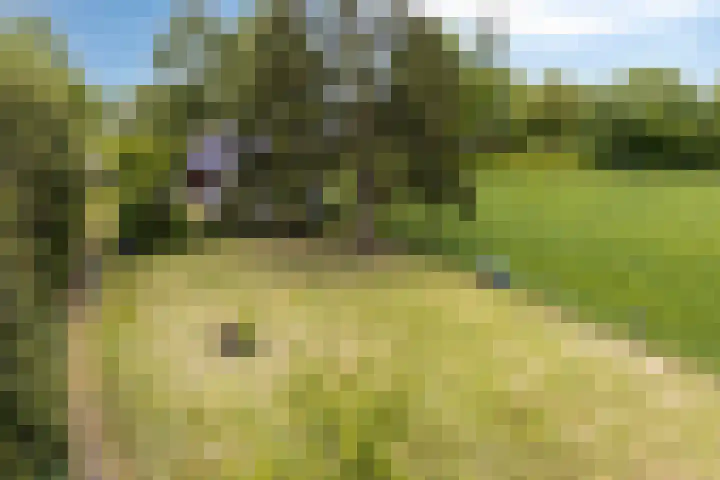 Zutphenseweg 114 Eefde thumbnail 40