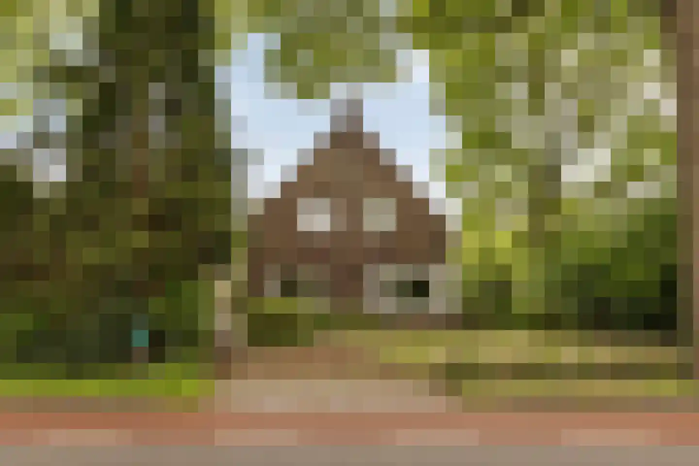 Zutphenseweg 114 Eefde thumbnail 43