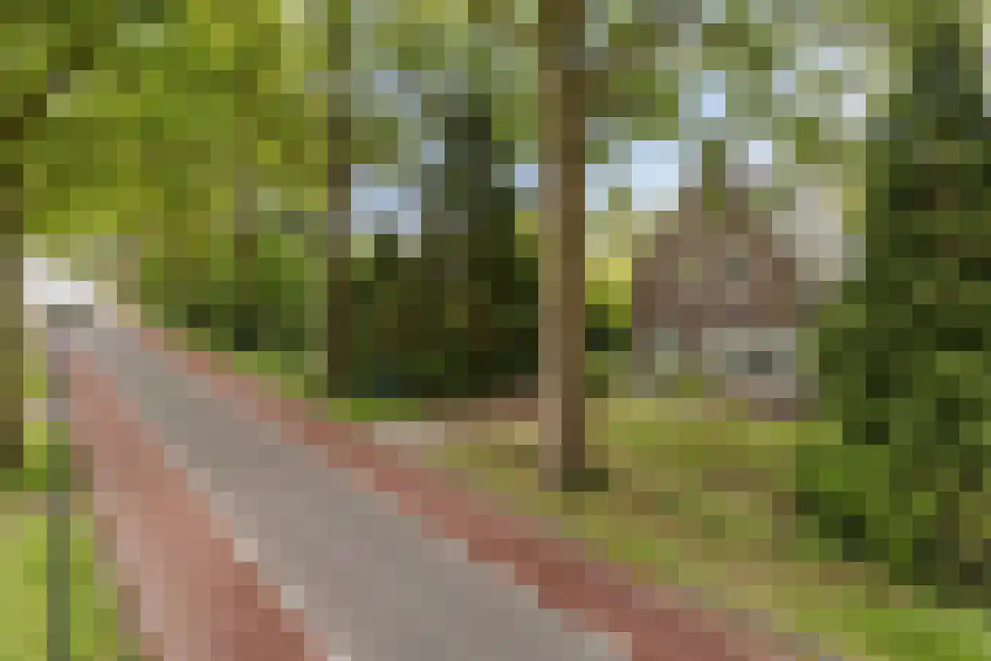 Zutphenseweg 114 Eefde thumbnail 44