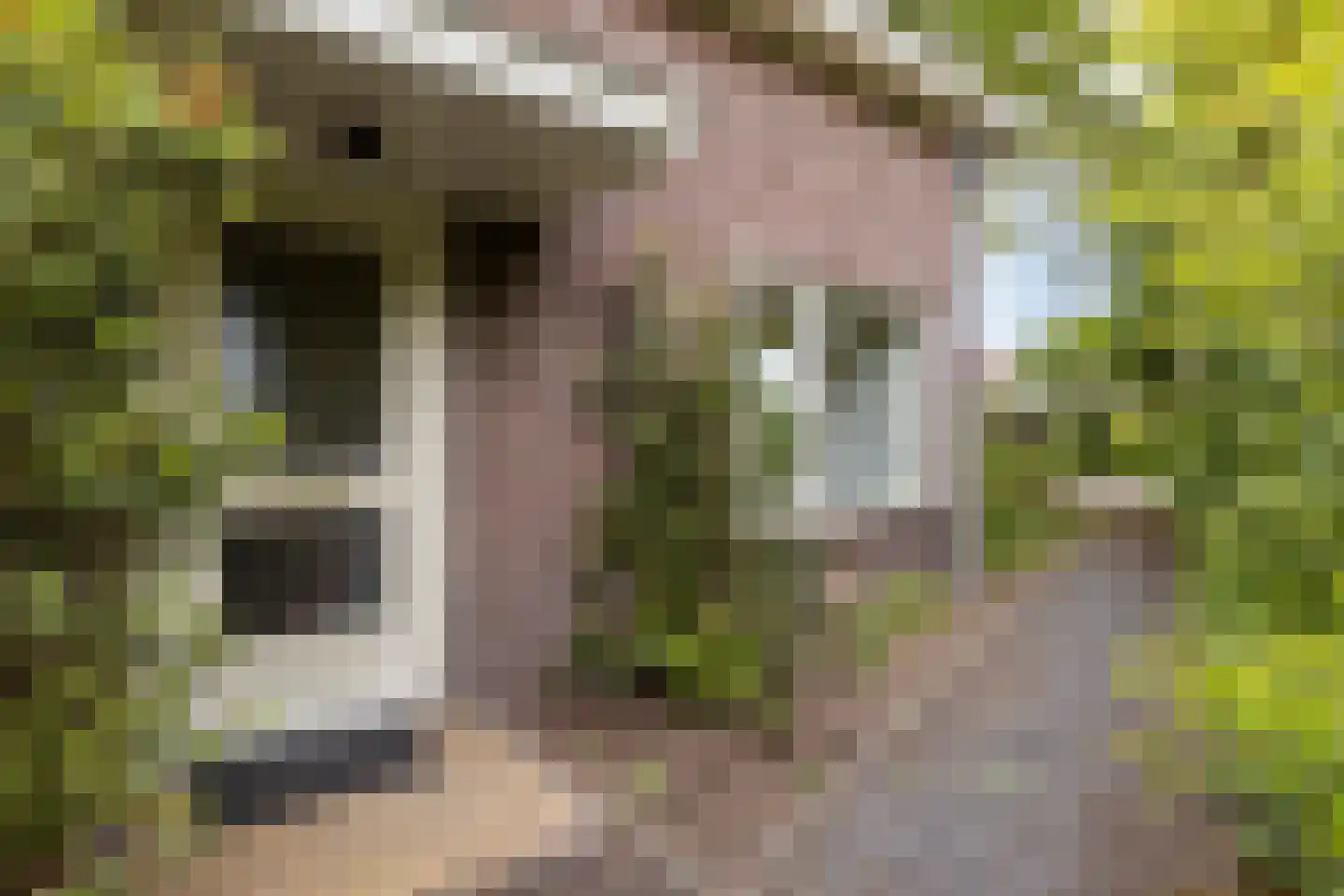 Zutphenseweg 114 Eefde thumbnail 5