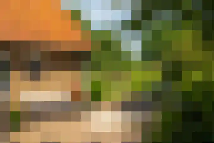 Zutphenseweg 118 Lochem thumbnail 39