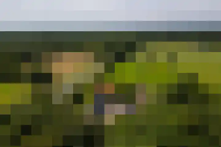 Zutphenseweg 118 Lochem thumbnail 41