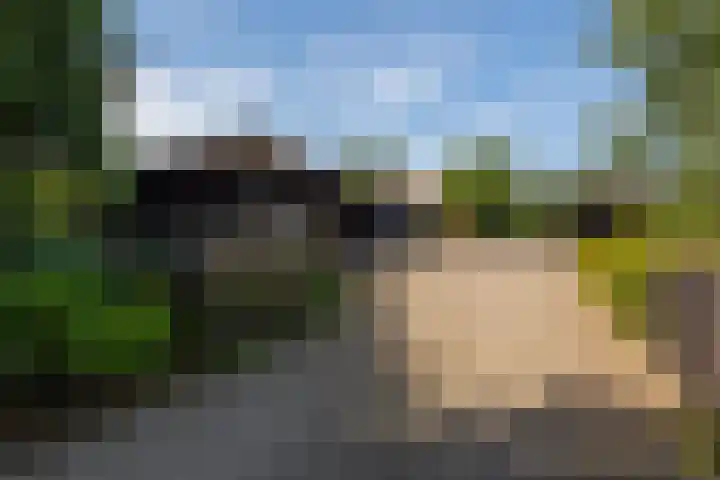 Zutphenseweg 118 Lochem thumbnail 44