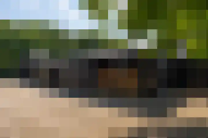 Zutphenseweg 118 Lochem thumbnail 51
