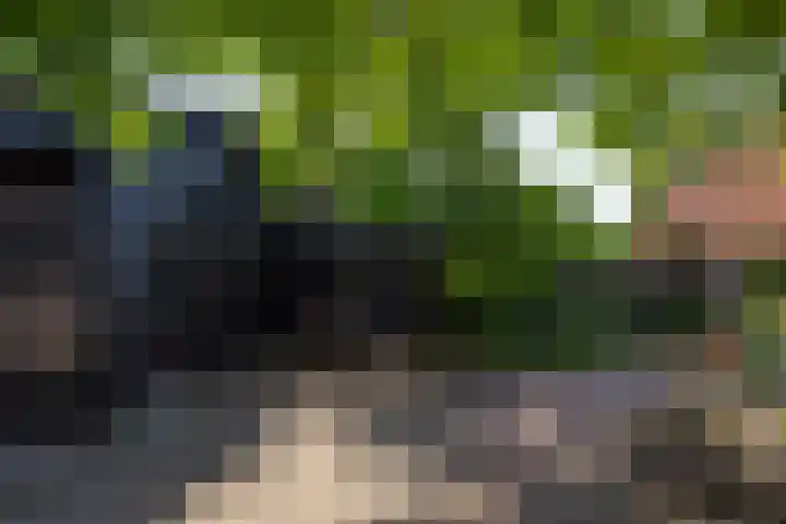 Zutphenseweg 118 Lochem thumbnail 53
