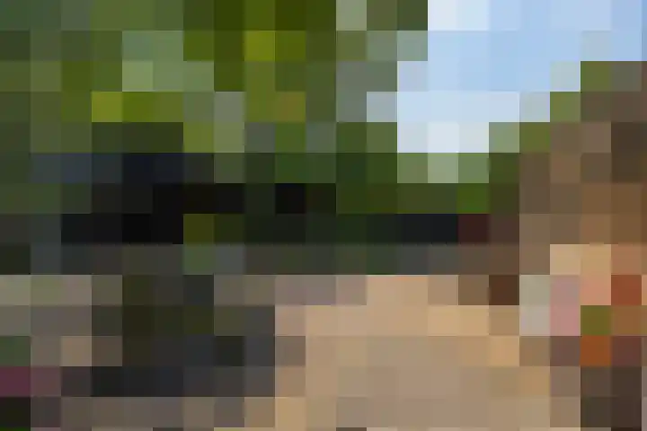 Zutphenseweg 118 Lochem thumbnail 55