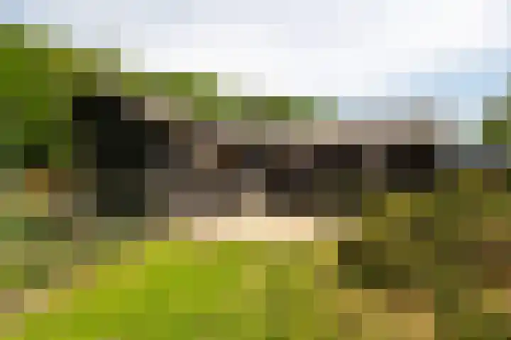 Zutphenseweg 118 Lochem thumbnail 62