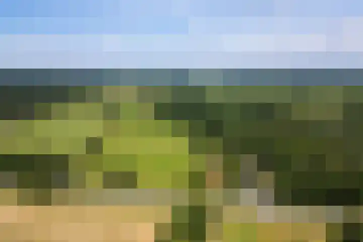 Zutphenseweg 118 Lochem thumbnail 65