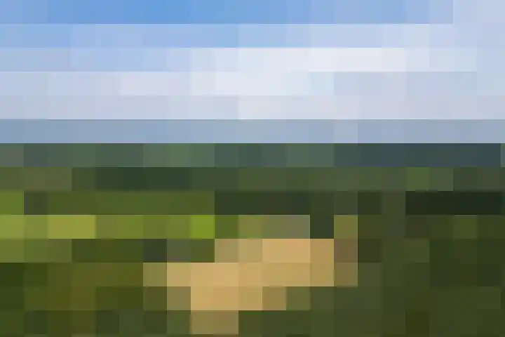 Zutphenseweg 118 Lochem thumbnail 66