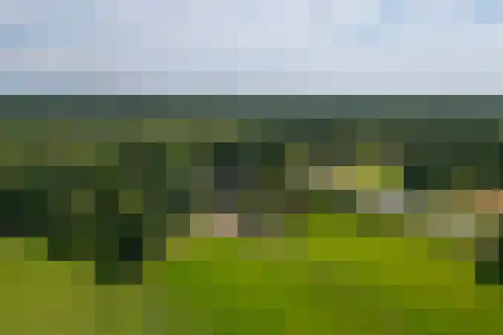 Zutphenseweg 118 Lochem thumbnail 67