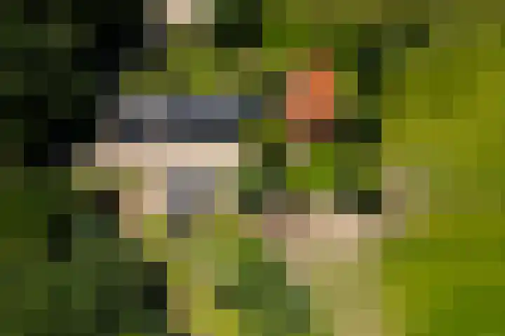Zutphenseweg 118 Lochem thumbnail 68