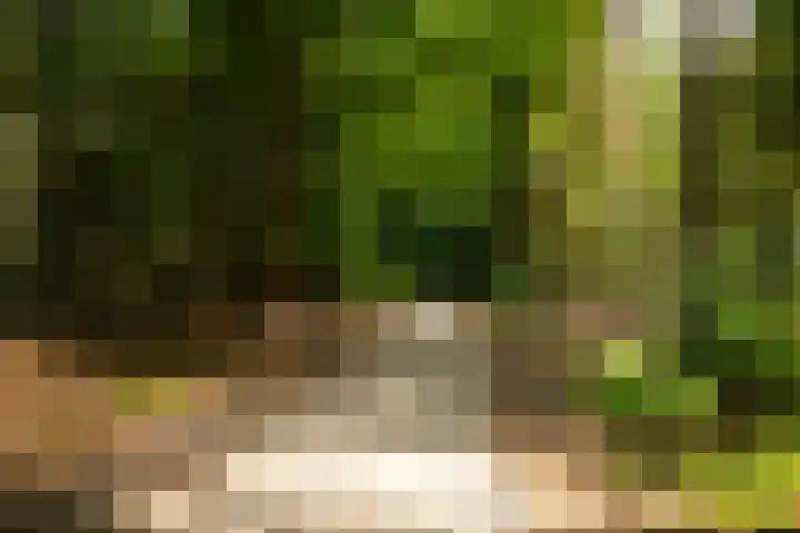 Zutphenseweg 118 Lochem thumbnail 69