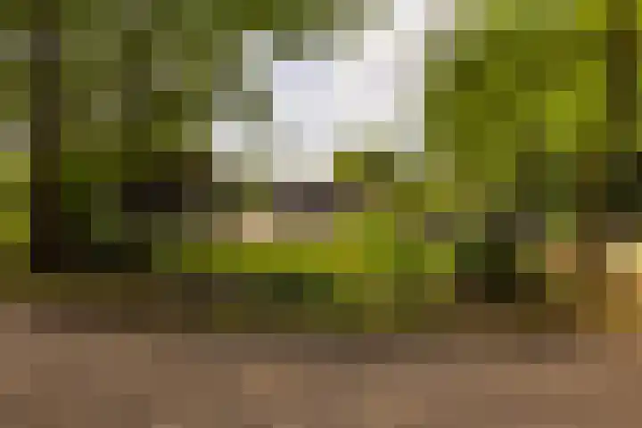 Zutphenseweg 118 Lochem thumbnail 70