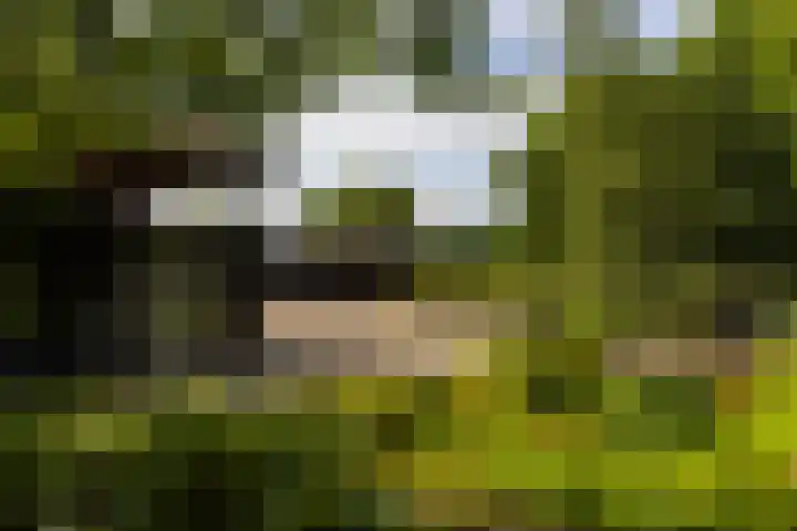 Zutphenseweg 118 Lochem thumbnail 71