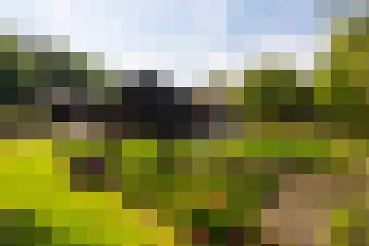 Zutphenseweg 118 Lochem thumbnail 72