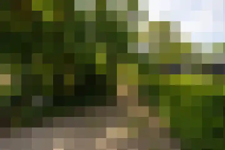 Zutphenseweg 118 Lochem thumbnail 73