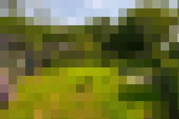 Zutphenseweg 118 Lochem thumbnail 75