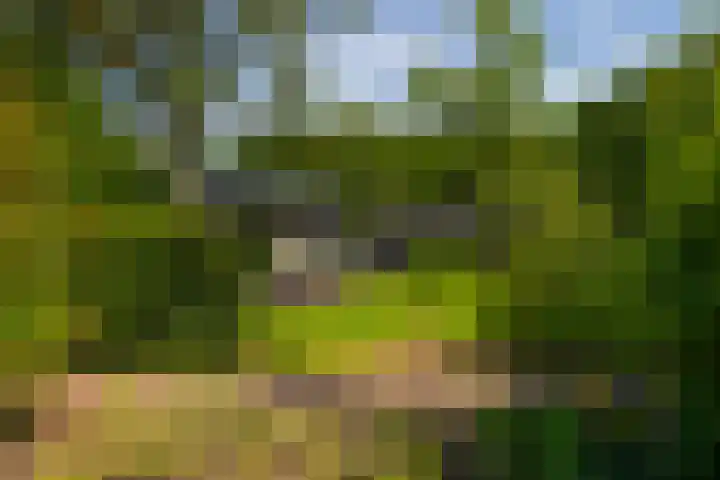 Zutphenseweg 118 Lochem thumbnail 76