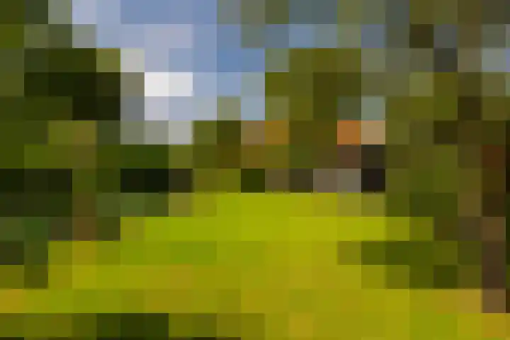 Zutphenseweg 118 Lochem thumbnail 77