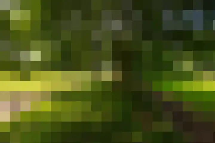 Zutphenseweg 118 Lochem thumbnail 78