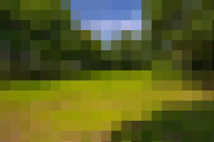 Zutphenseweg 118 Lochem thumbnail 79
