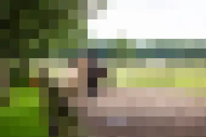 Zutphenseweg 118 Lochem thumbnail 80