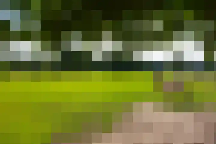 Zutphenseweg 118 Lochem thumbnail 83
