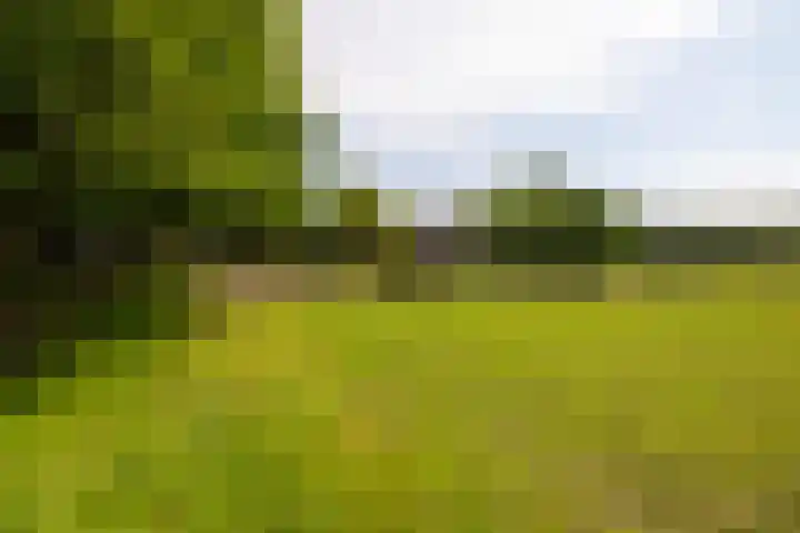 Zutphenseweg 118 Lochem thumbnail 84