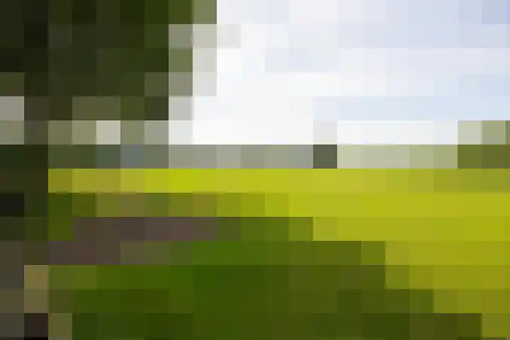 Zutphenseweg 118 Lochem thumbnail 85